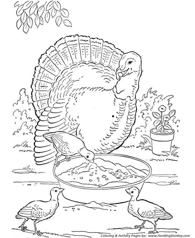 Farm Turkeys | farm animal coloring pages pdf | farm animal coloring pages for toddlers