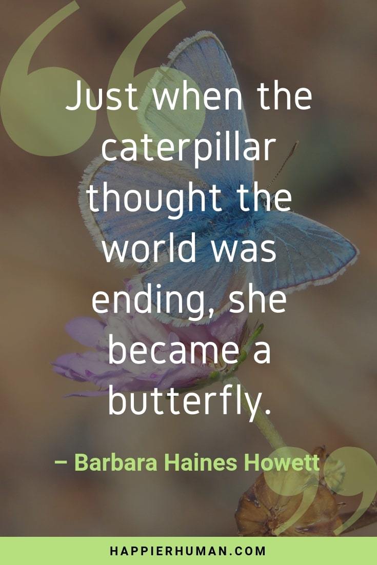 Inspirational Quotes About Depression and Anxiety - “Just when the caterpillar thought the world was ending, she became a butterfly.” – Barbara Haines Howett | quotes for when you're stressed | positive quotes for anxiety | calming thoughts for stress | encouraging words for stress | calming words and phrases | quotes for stressful days at work | positive quotes for depression | inspirational quotes for anxiety