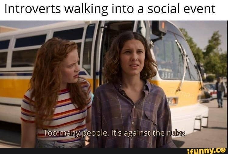 smiling star giggles 2019 | funny introvert quotes | relatable introvert memes